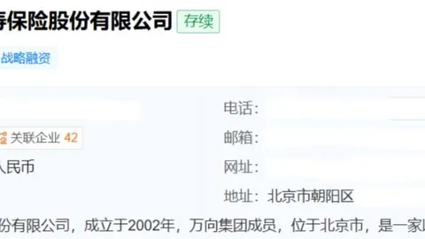 哈兰德单刀良机被扑，谢尔基神助攻背后的遗憾瞬间